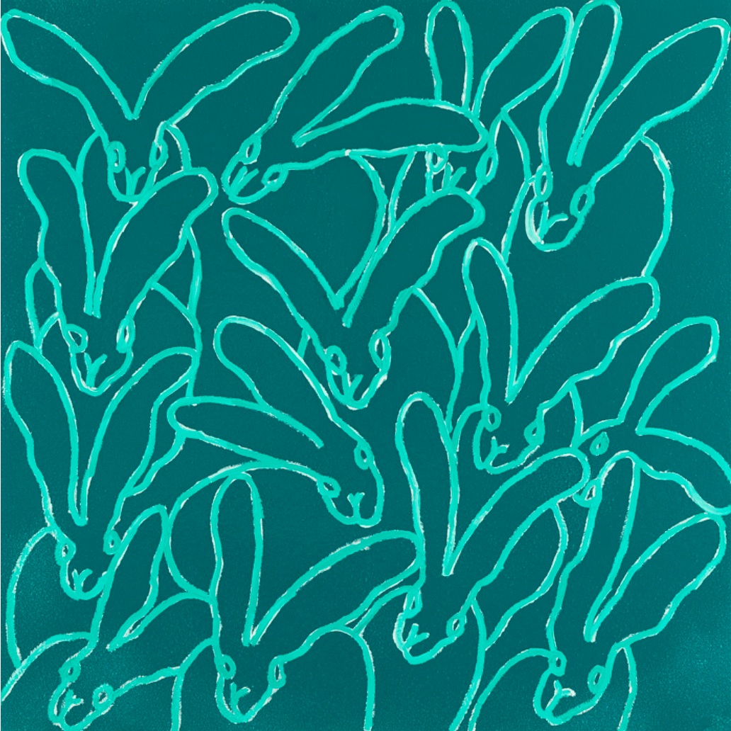 art walk san jose del cabo